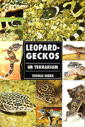 Leopardgeckos im Terrarium