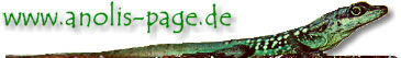 Die Anolis-Page auf www.anolis-page.de (Startseite)!